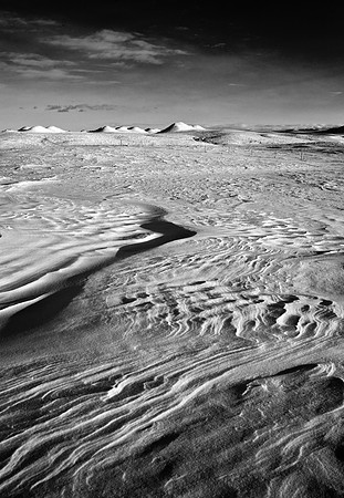 Brian McCord Photography
