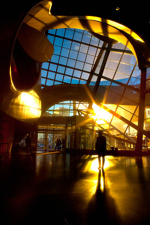 Brian McCord Photography